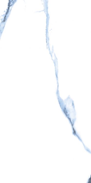 Calacatta Blue Matte 12 x 24